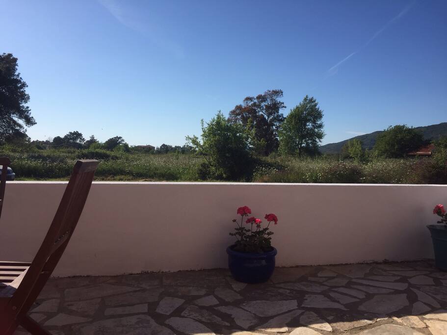 View from the garden & patio at Jasmine
