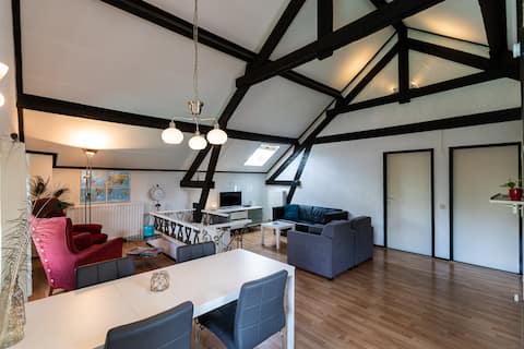 Spacious, characteristic apartment, green area