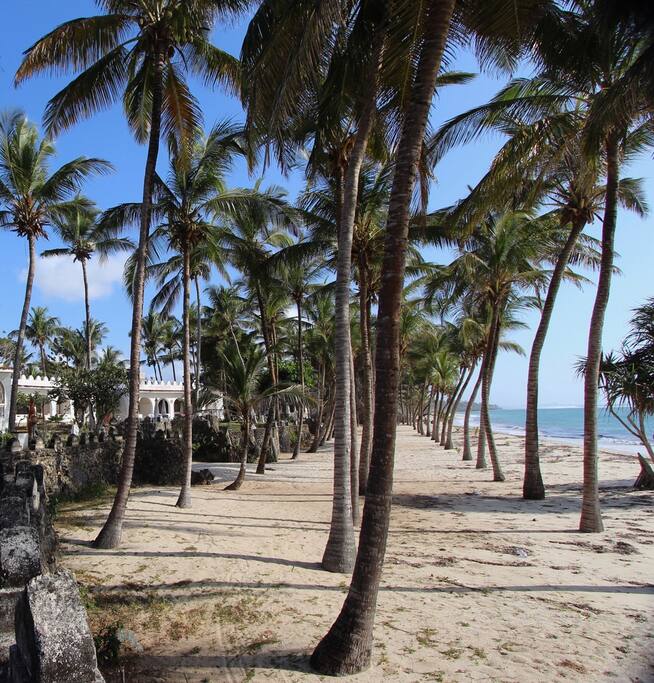 our Beach ....