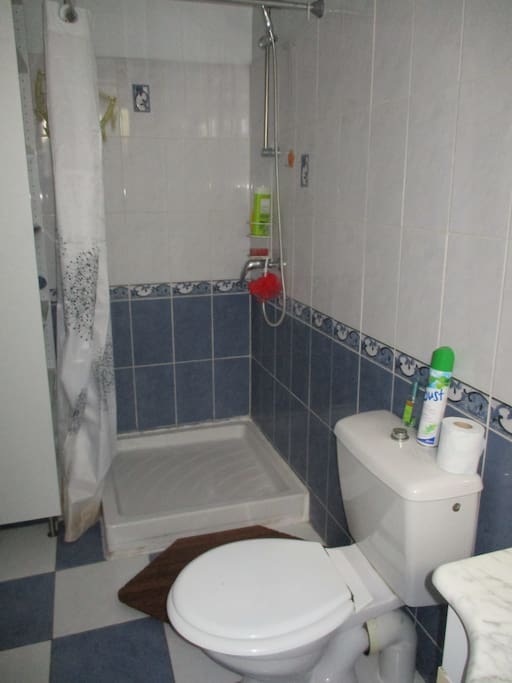 salle de bains WC