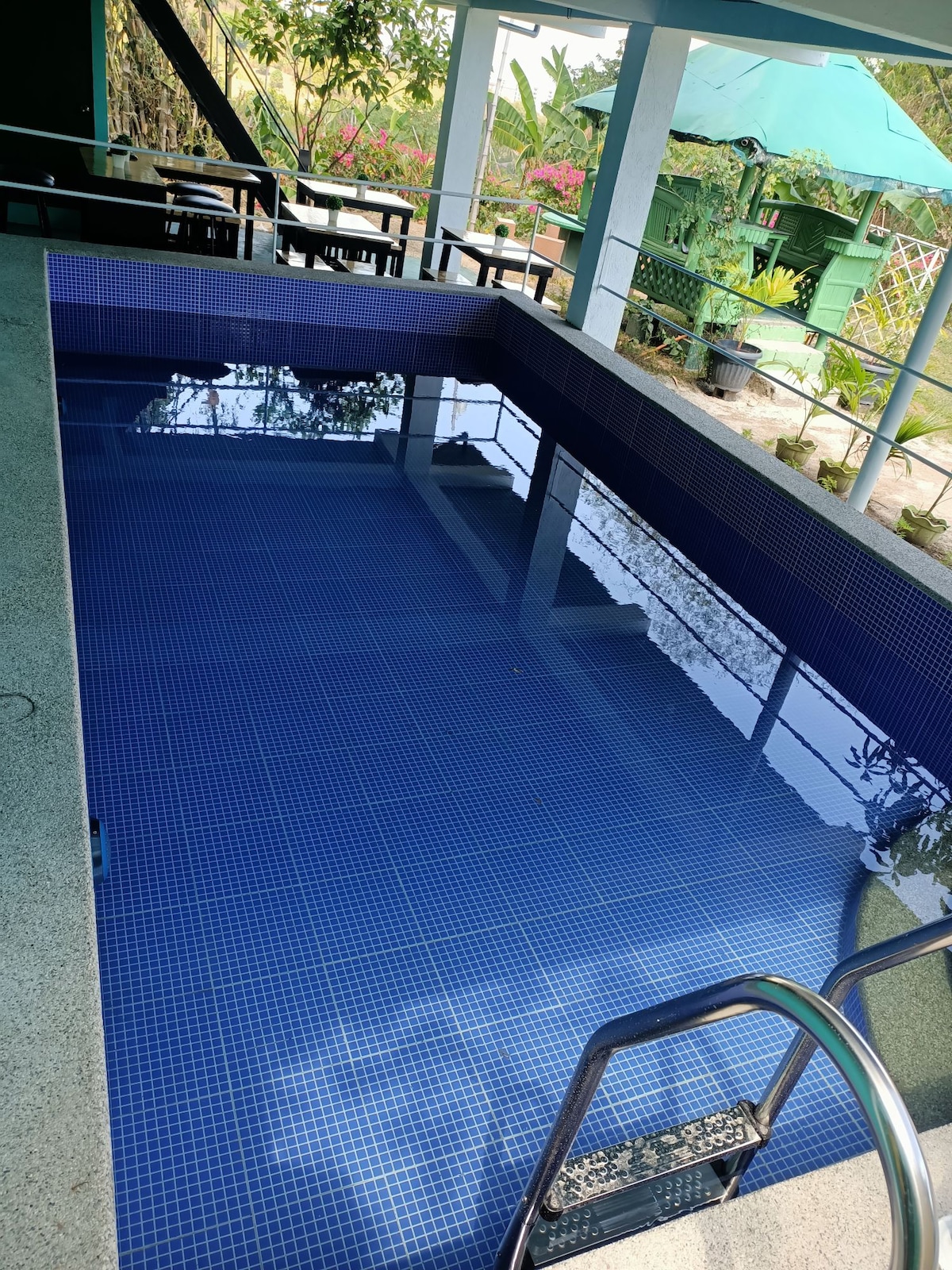A rectangular pool is seen with blue tiles reflecting light. A gentle ladder leads into the water, which appears calm and clear. Surrounding foliage and outdoor seating enhance the area, providing a serene escape.