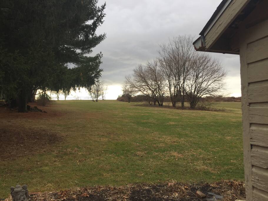 Beautiful country views.