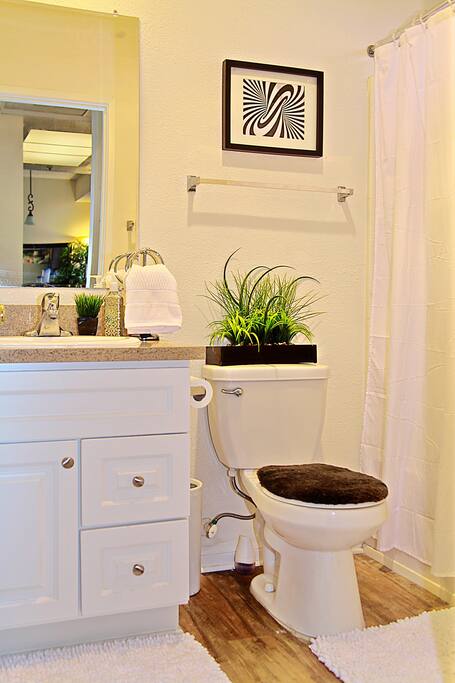 2nd Bathroom in the room