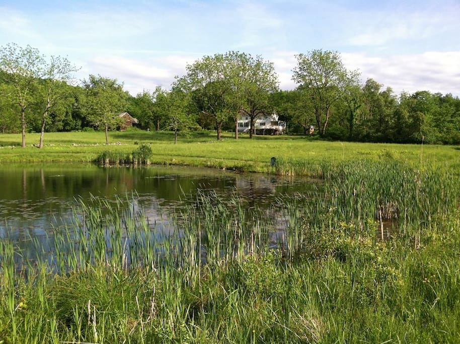 17 Acres - view from pond of house and barn