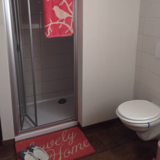 geräumiger Dusche und WC