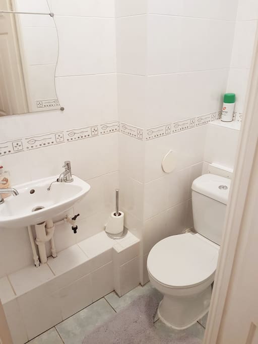 Ground Floor Toilet