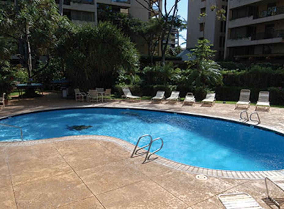 swimming pool