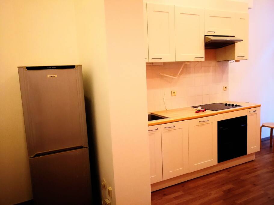 one big fridge and equipped kitchen