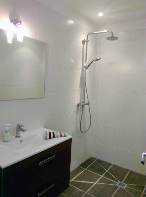Belle salle de bain attenante avec douche à l'italienne, lavabo et radiateur sèche-serviettes.