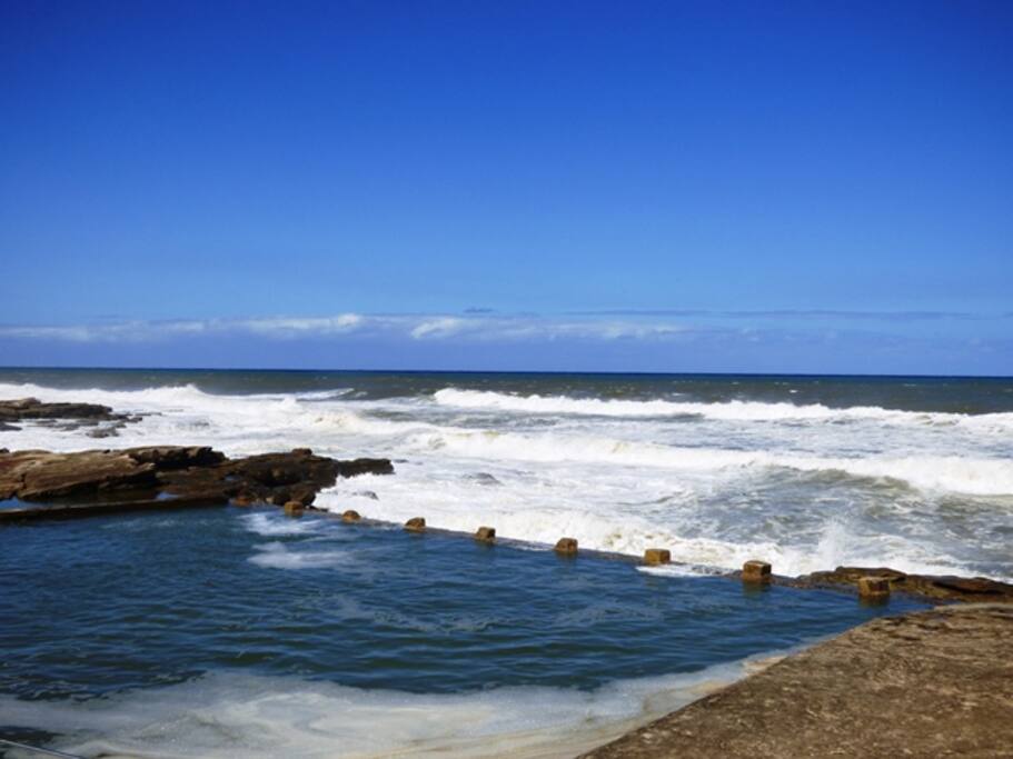 Tidal Pool