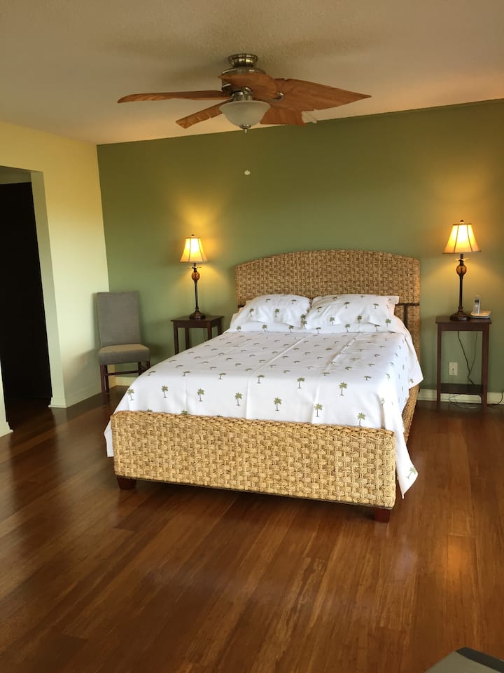 Მთავარი საძინებელი. მეხსიერების ქაფის ახალი ლეიბი.  Ბამბუკის ახალი იატაკი, ავეჯი და განათება. Ახლად შეღებილი. საძინებელი ორიდან ერთი.