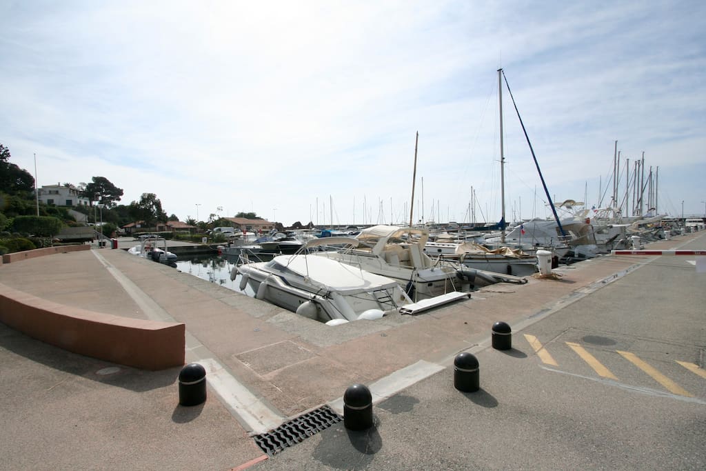 Marina opposite to the apartment