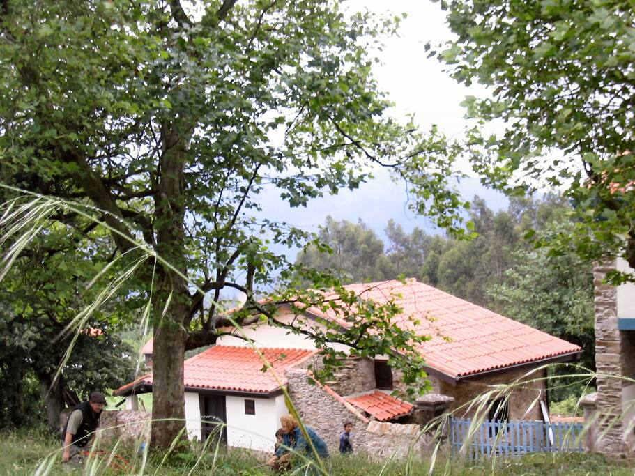 Hórreo ( Barn )