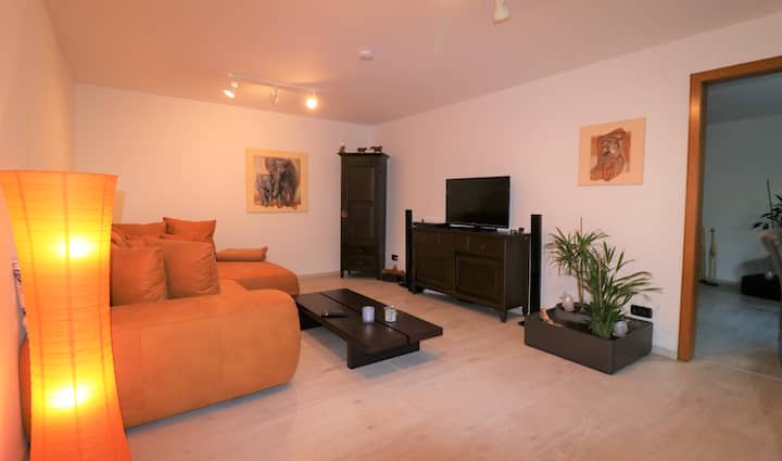 客厅配有舒适的XXL弹簧沙发床155x240睡眠区、工作场所、智能电视