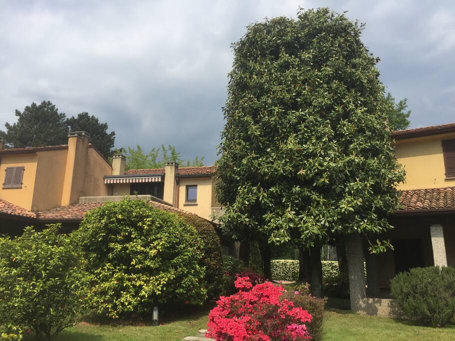 la terrazza vista lago