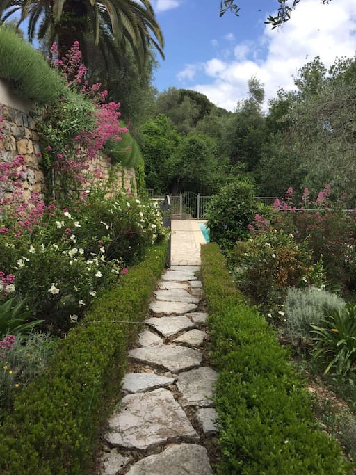 Walk way to the pool on the lower ground. Views of ocean!