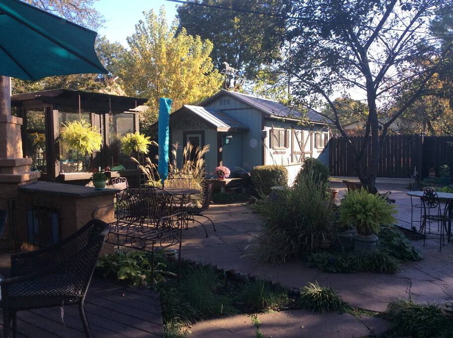 Backyard early am