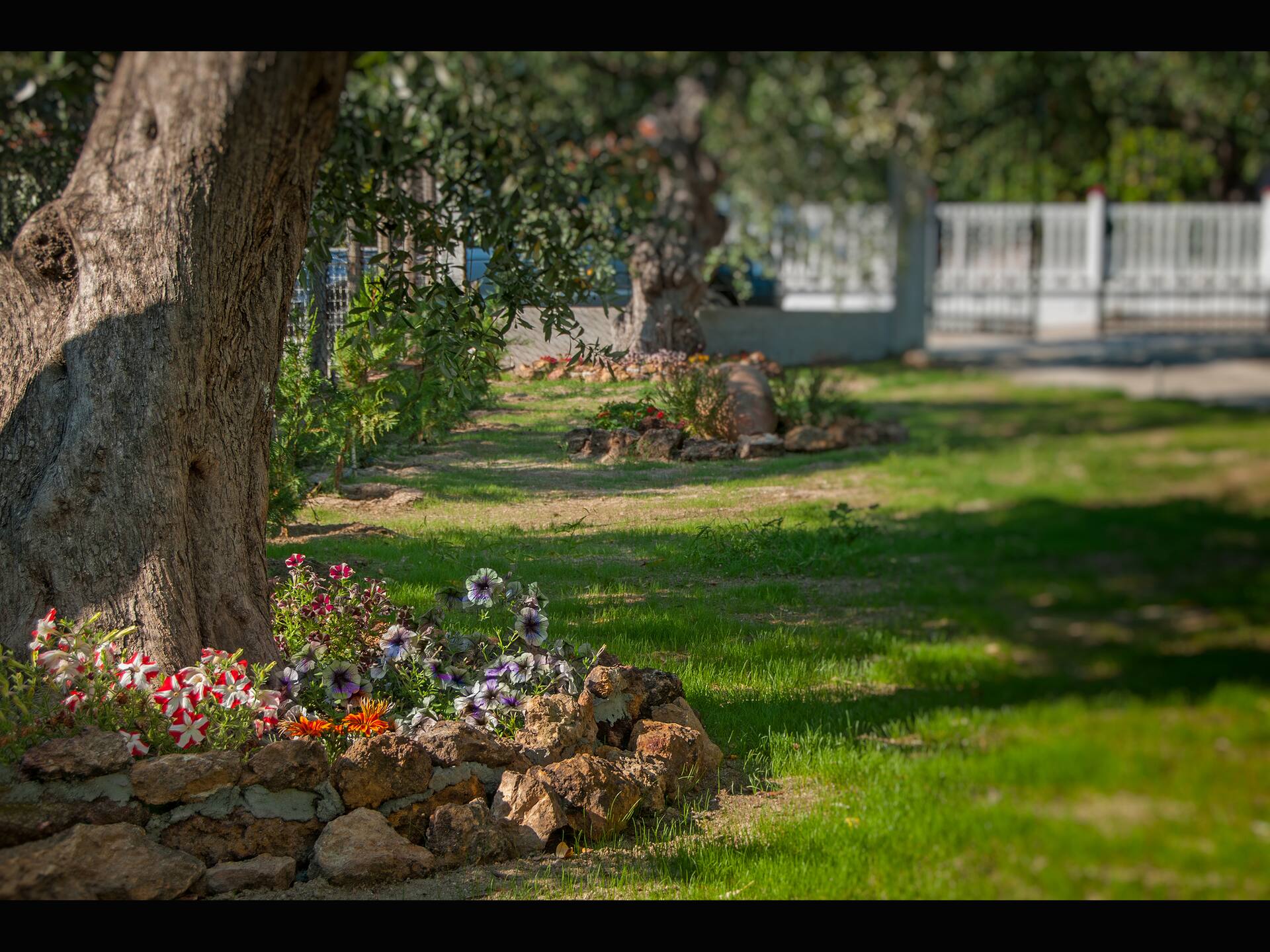 Elia Villa Thassos — foto 3