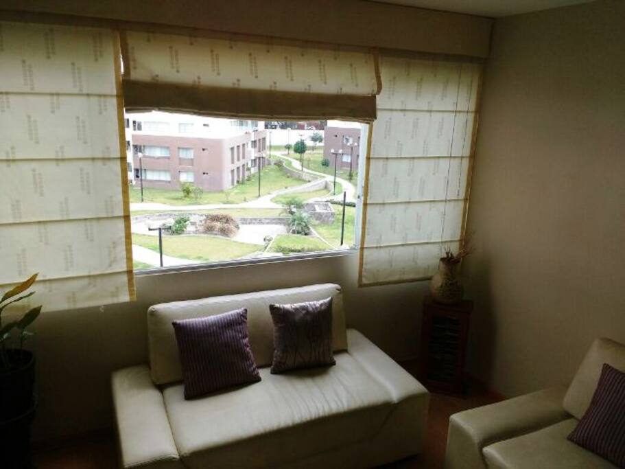Sala con vista a pileta ornamental