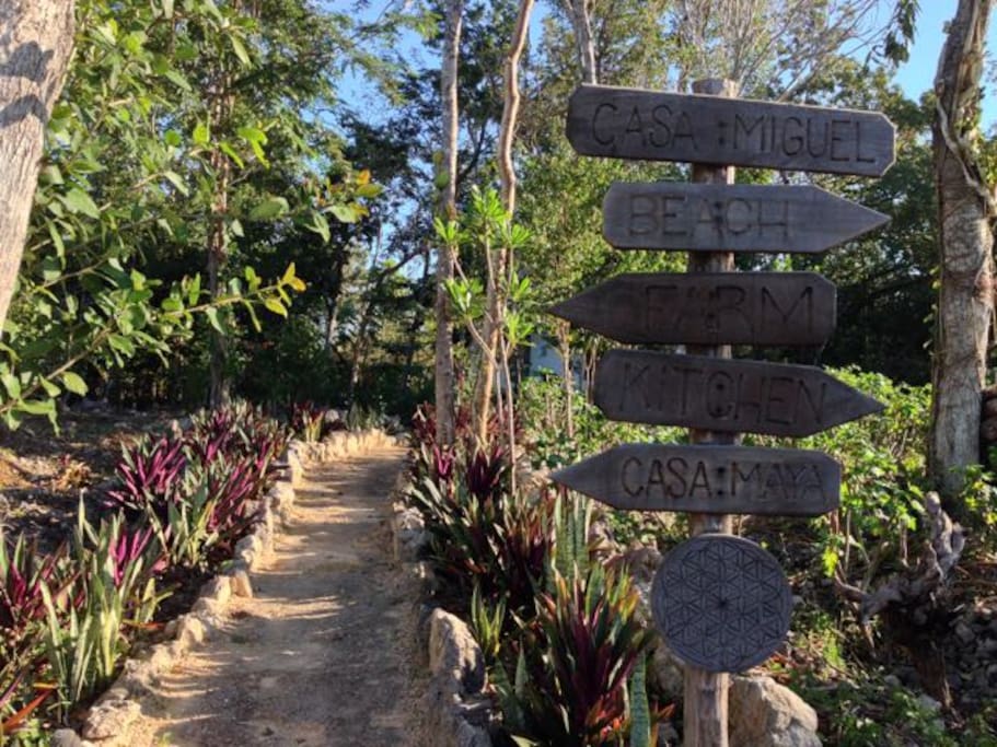 Path to house