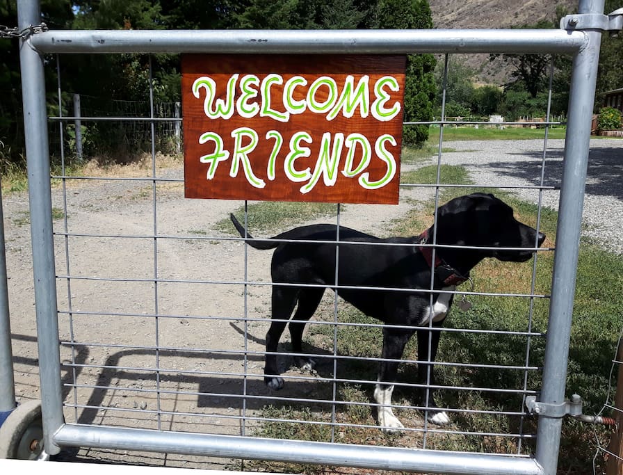 the welcoming committee