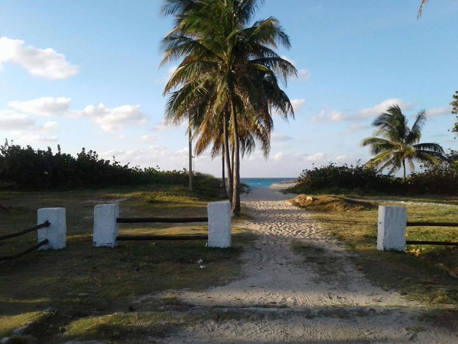 Camino a la playa