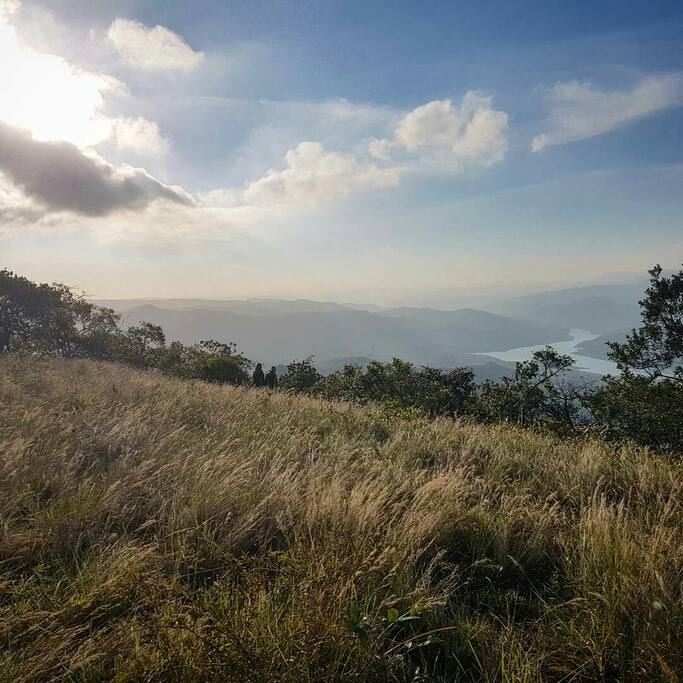 The View