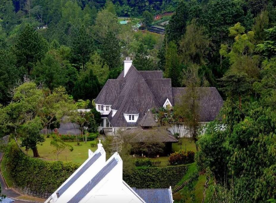 Puncak Dani
