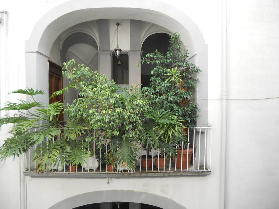 Ingresso