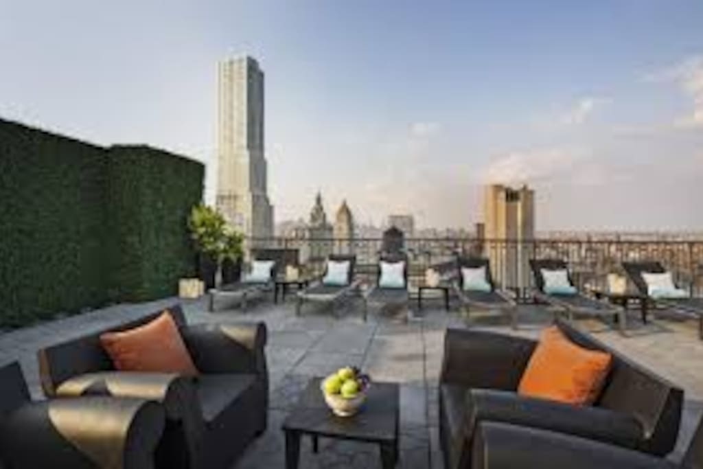 Rooftop with 360 views of FIDI including BK Bridge, Freedom Tower, and Statue of Liberty