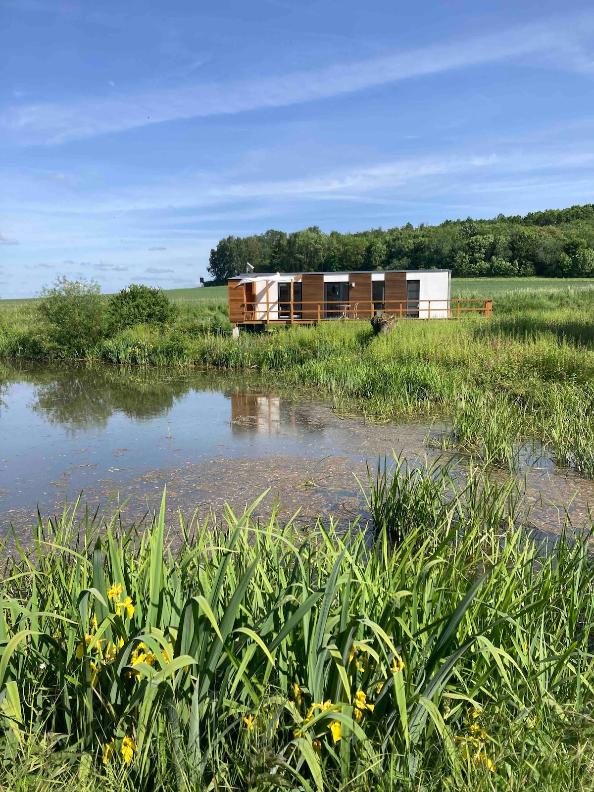 A tiny house is positioned beside a tranquil pond, framed by lush greenery and wildflowers. The structure features a wooden deck overlooking the water, providing a peaceful retreat. Rolling hills and trees are visible in the background, enhancing the natural setting.