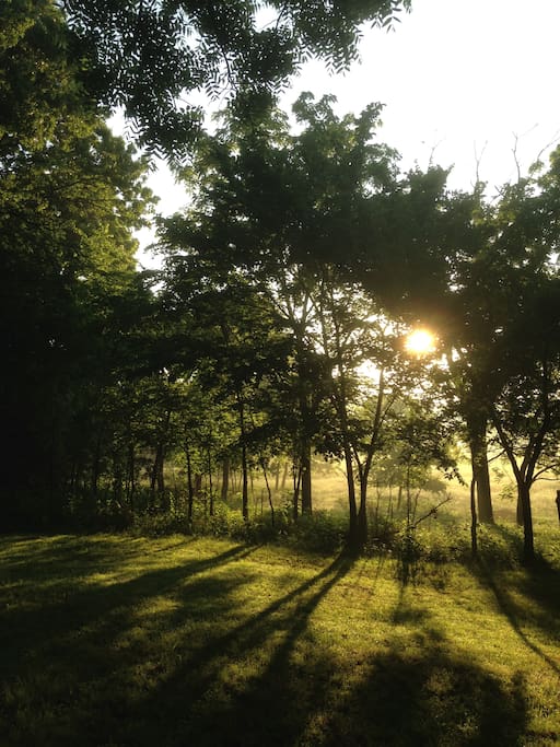 Meditation Garden in SE Corner of Ozark Dawn community.
