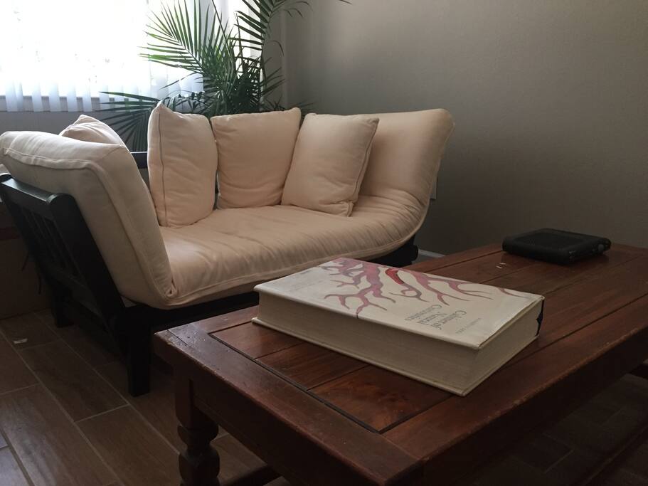 Comfortable and cute sofa, turns into a futon