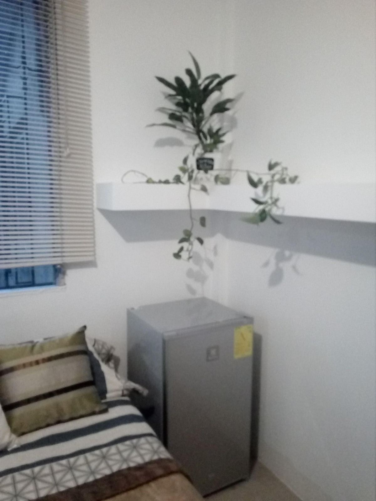 A neatly arranged corner of the room features a small refrigerator beside a plush bed adorned with striped and patterned cushions. A shelf above holds a green plant, adding a touch of nature to the bright, inviting space.