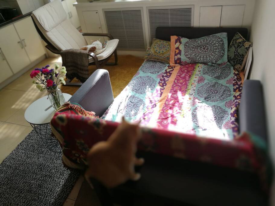 床具一客一换,这套是巴基斯坦生产的优质棉床具。