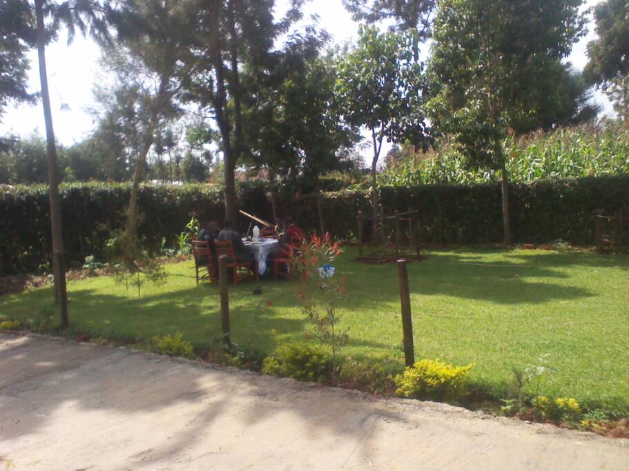 The Garden