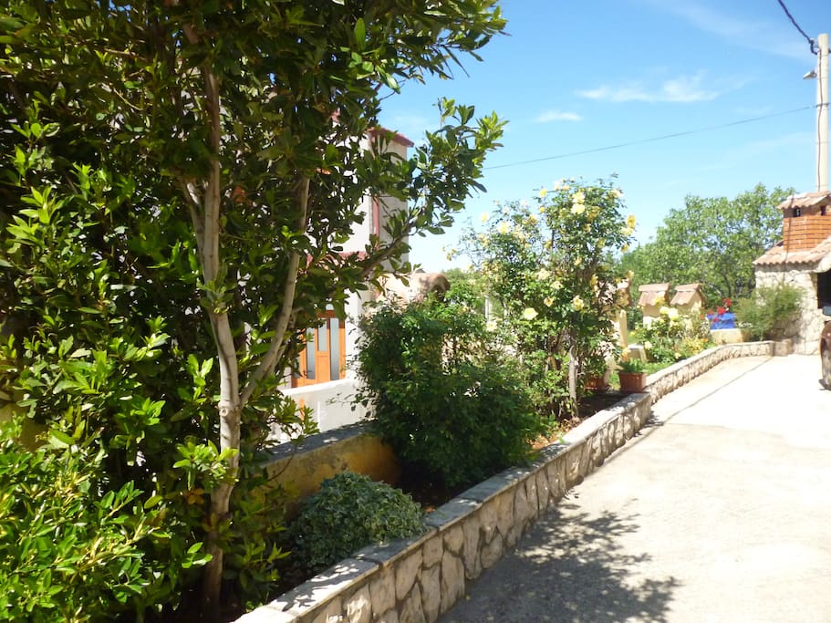 Little garden in front of the house