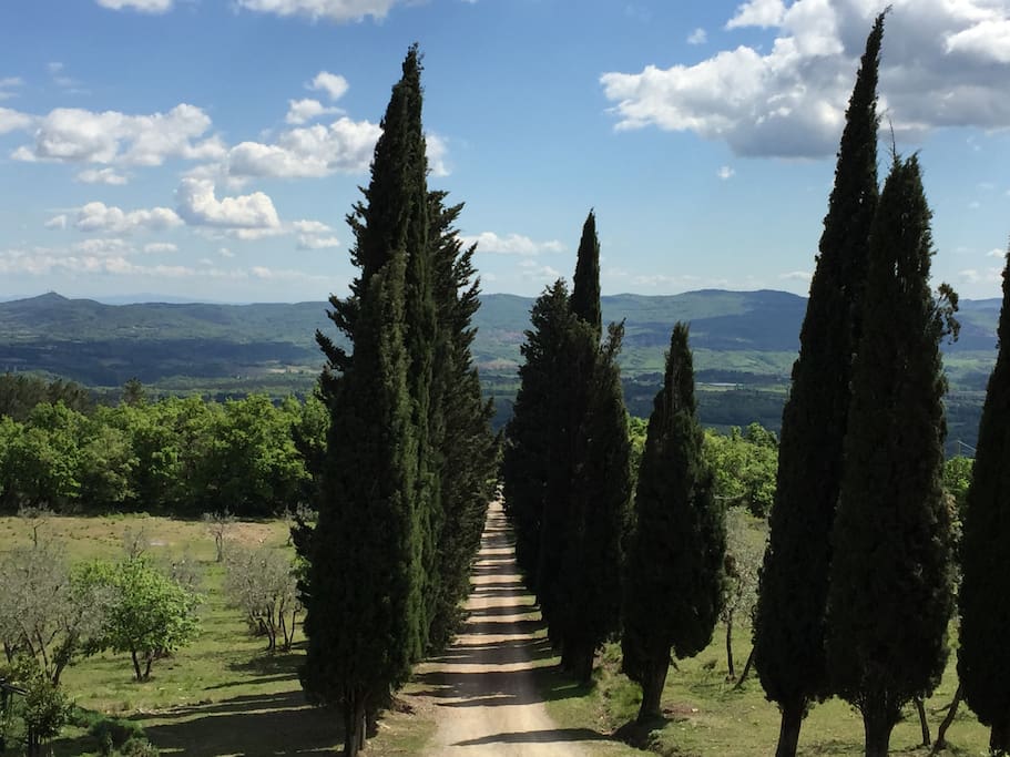 Avenue of access to the property