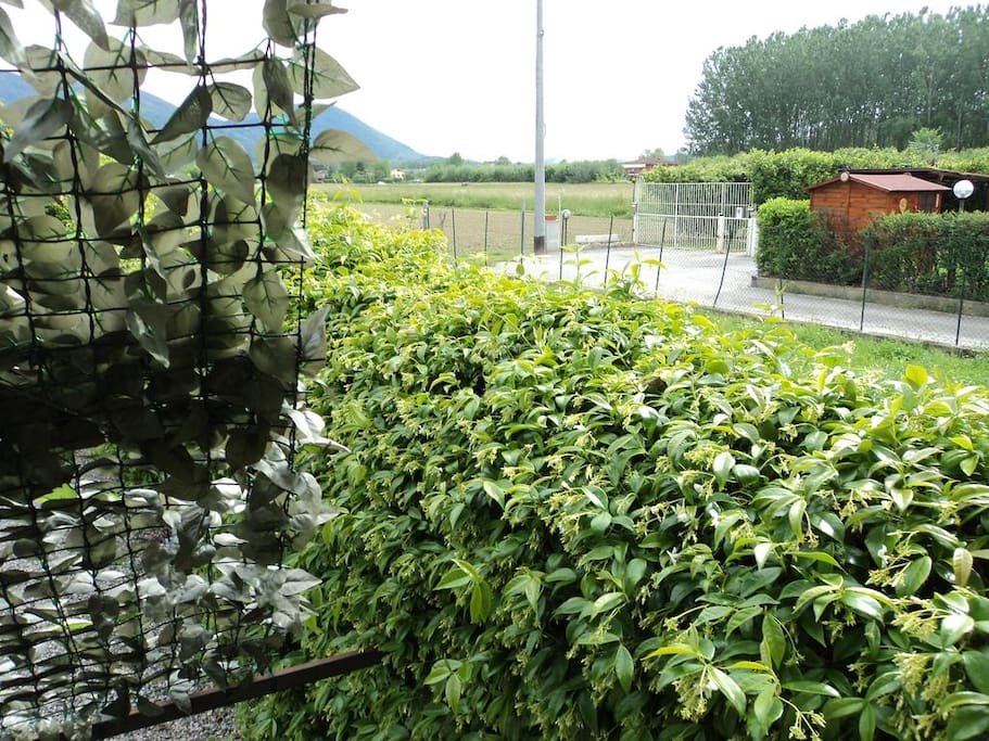 ciò che si vede uscnedo dalla porta dell'appartamento