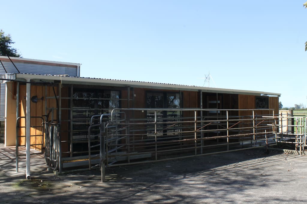 View from the yard