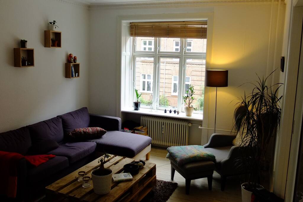 Back view on the living room. The couch is usable as a bed for one person. This is probably the most cozy part. Perfect for enjoying a rainy day with a good book.