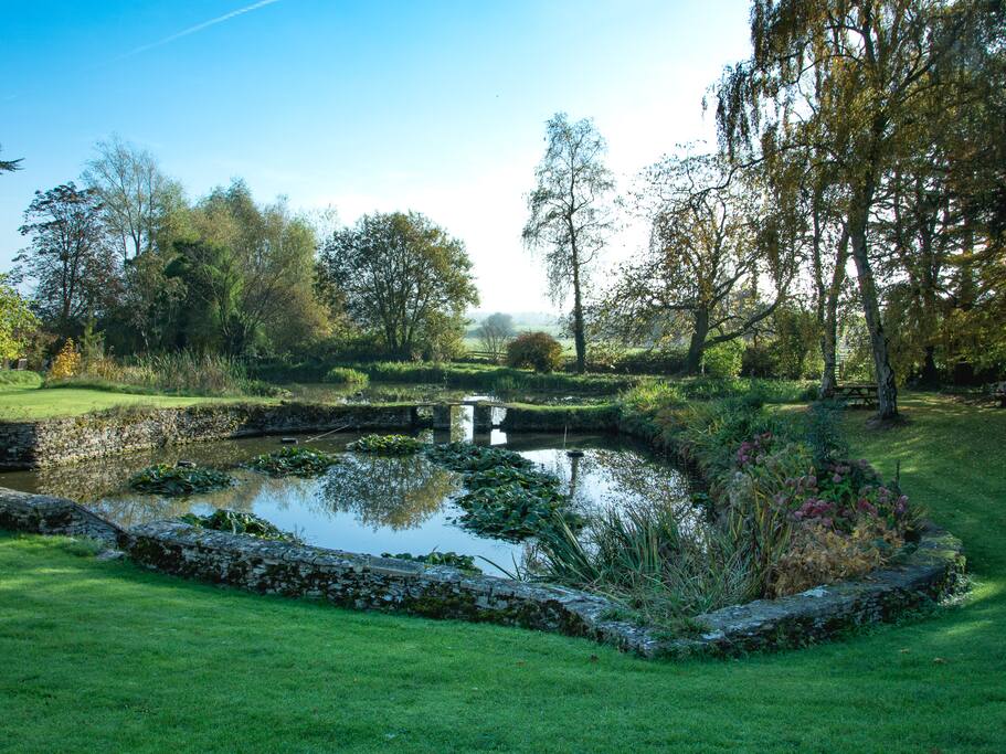 Our garden in autumn