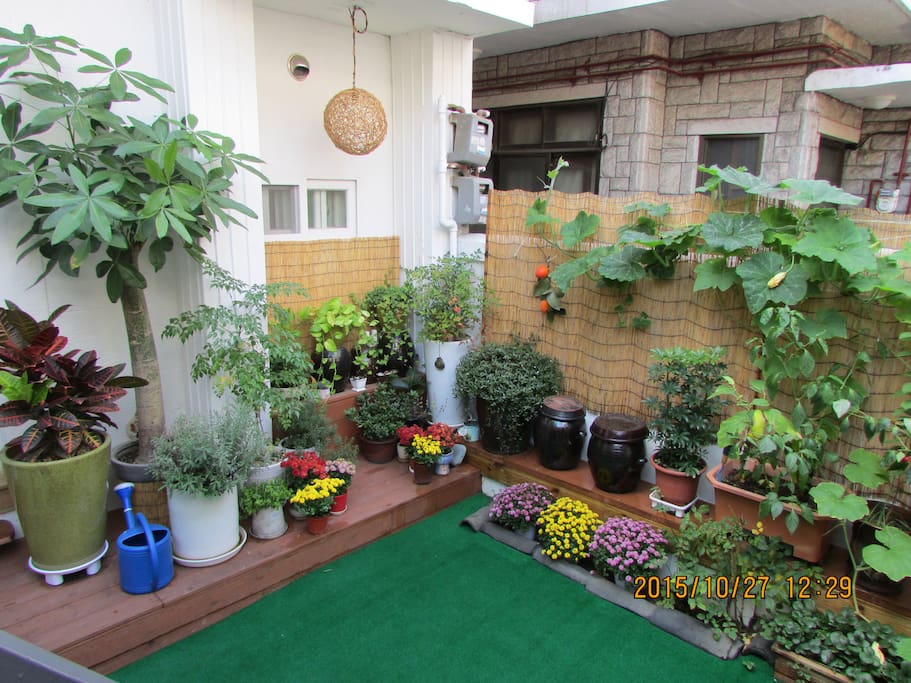 garden