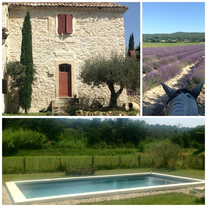 le moulin, la piscine et les alentours
