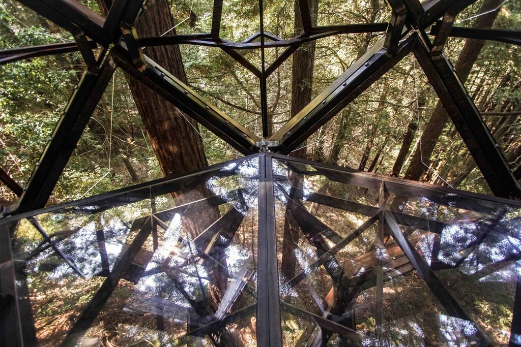 Clear floor panels allow you to see through the structures bottom windows to the forest below.