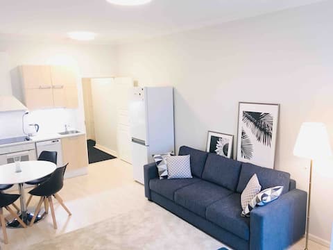 Explore Helsinki from Exquisite Inner City Studio