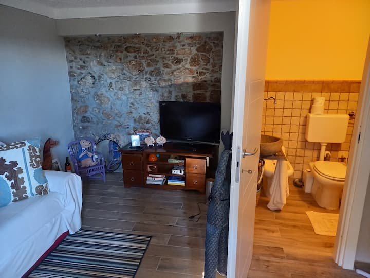 Sehemu ya chini kabisa ya nyumba.... chumba kidogo cha televisheni kilicho na kitanda cha sofa na chumba cha kuogea kilicho na bafu