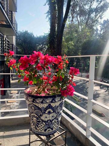 Enorme depa frente a Parque España, Roma-Condesa. gallery image 4