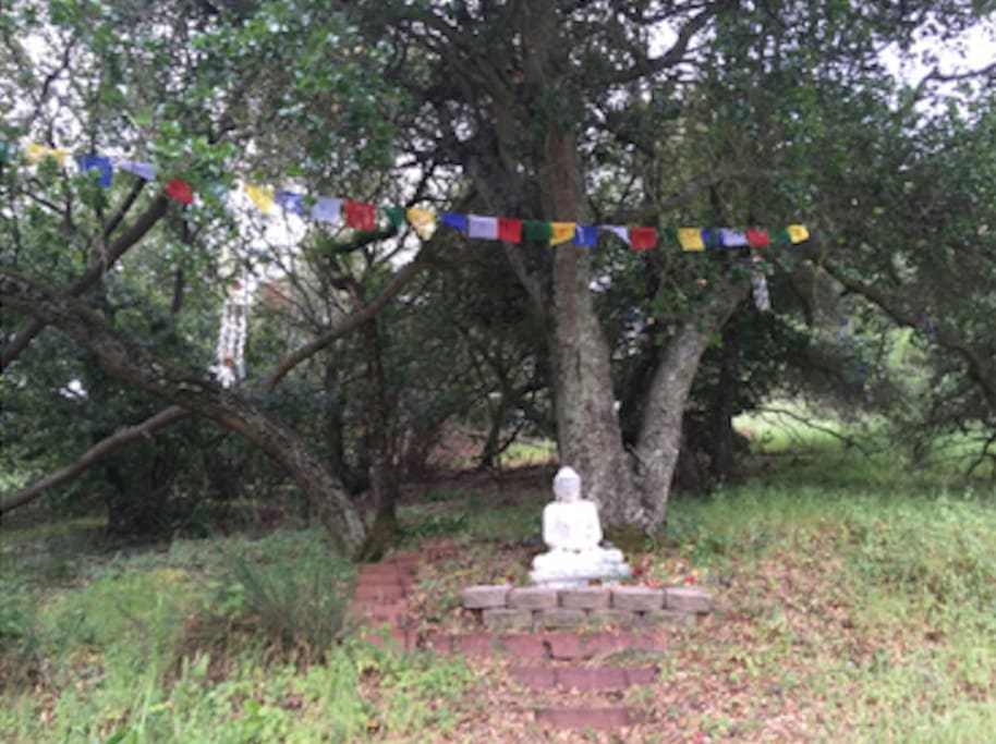 Beautiful wooded hillside yard with Buddha statues and fairy shrines