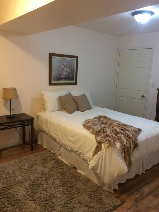 Spacious master bedroom with queen bed.